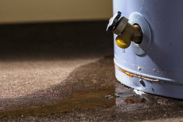 Best Fire Damage Restoration  in Pleasanton, CA