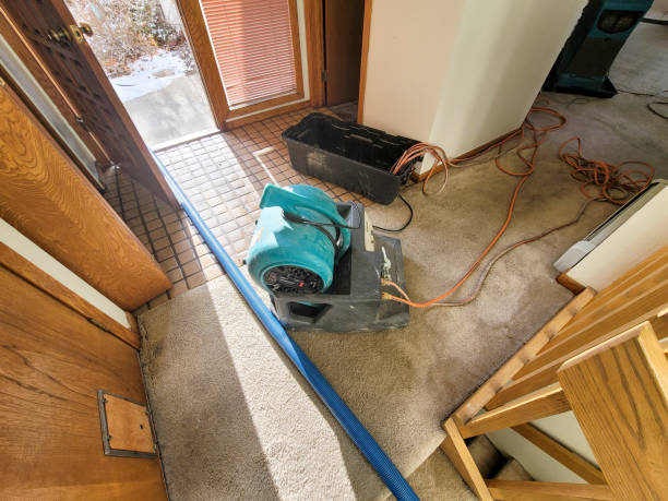 Best Commercial water damage restoration  in Pleasanton, CA