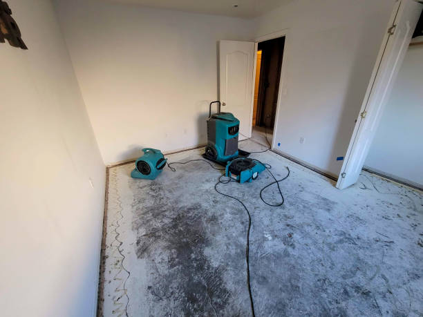 Best Flooded house restoration  in Pleasanton, CA