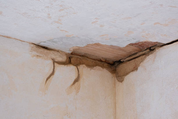 Professional Water damage restoration in CA