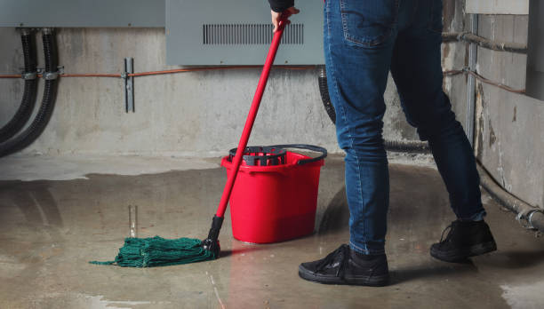 Best Flooded house restoration  in Pleasanton, CA