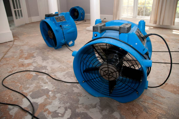 Best Fire Damage Restoration  in Pleasanton, CA