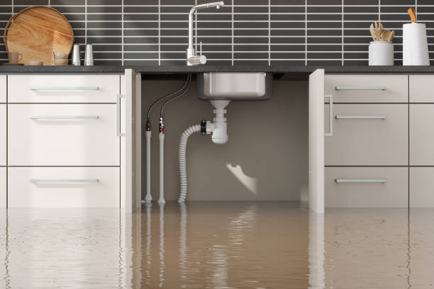 Best Water damage cleanup near me  in Pleasanton, CA