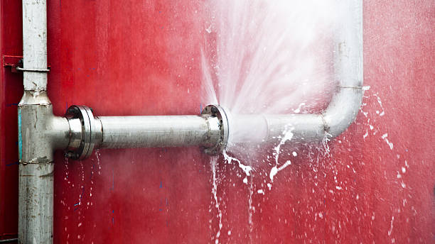 Best Local water damage restoration  in Pleasanton, CA