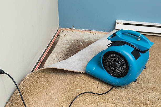 Best Water damage restoration specialists  in Pleasanton, CA
